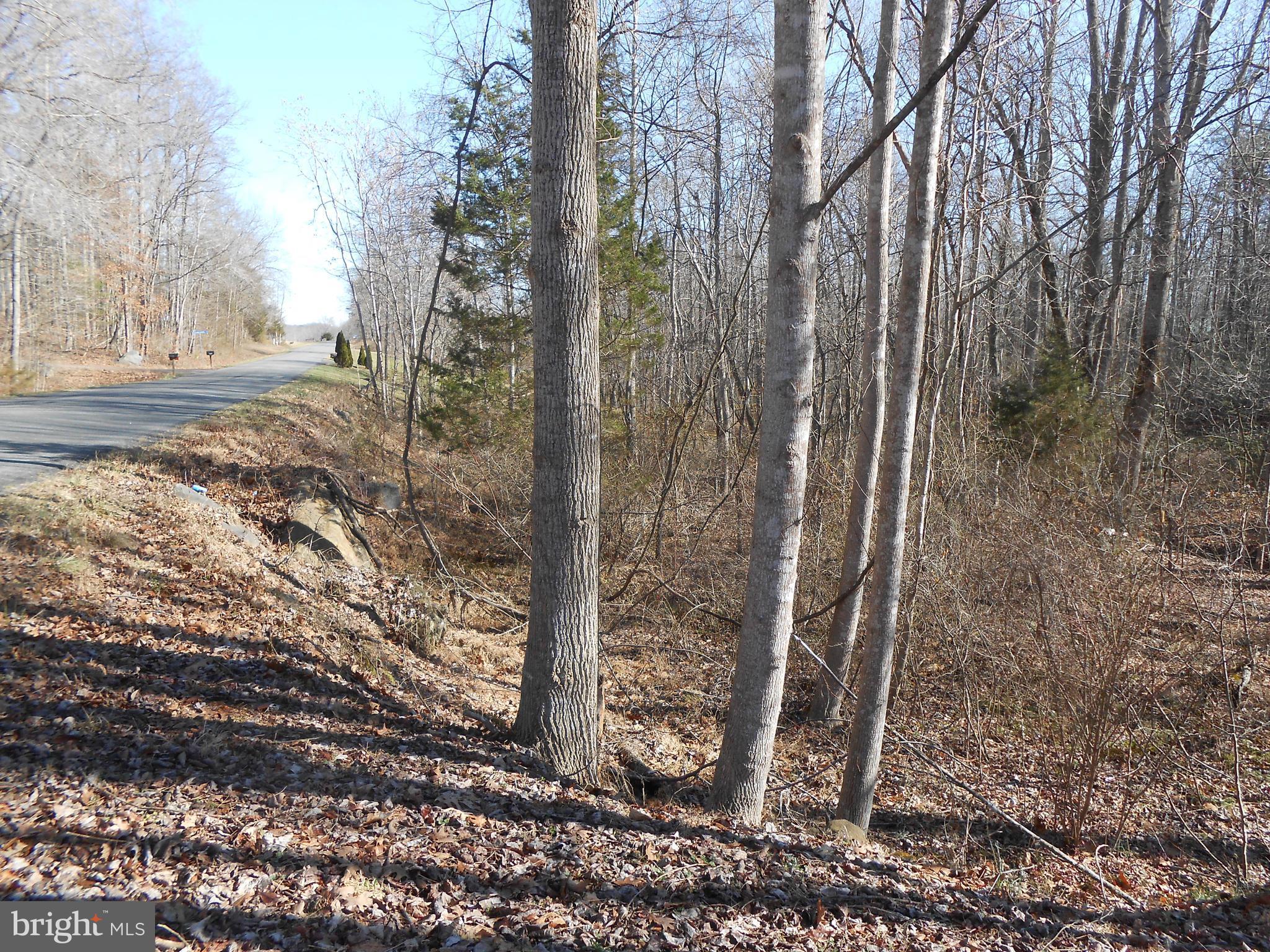 The Mountain Road Culpeper, VA 22701 - Photo 8 of 17 View