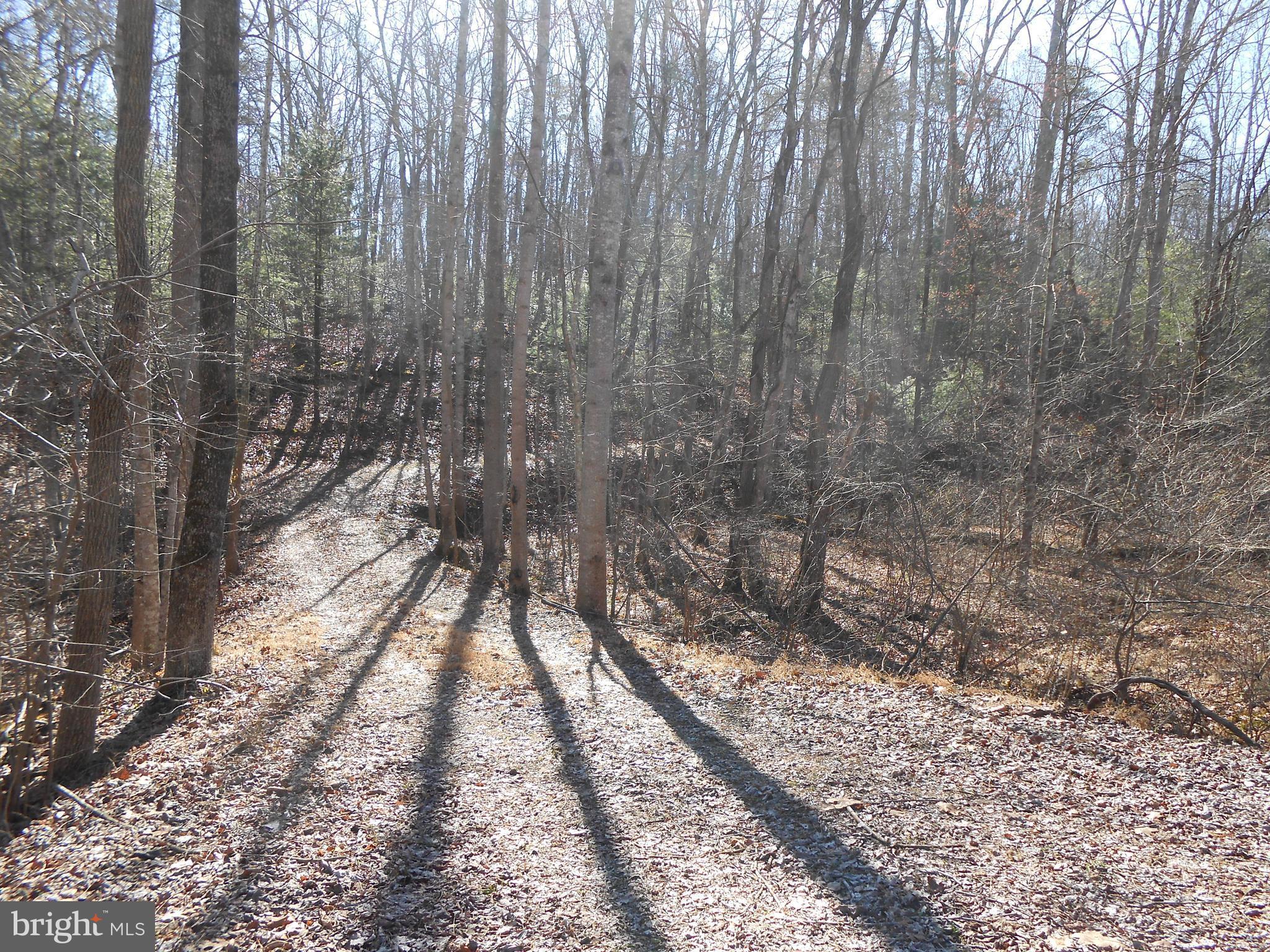 The Mountain Road Culpeper, VA 22701 - Photo 10 of 17 View