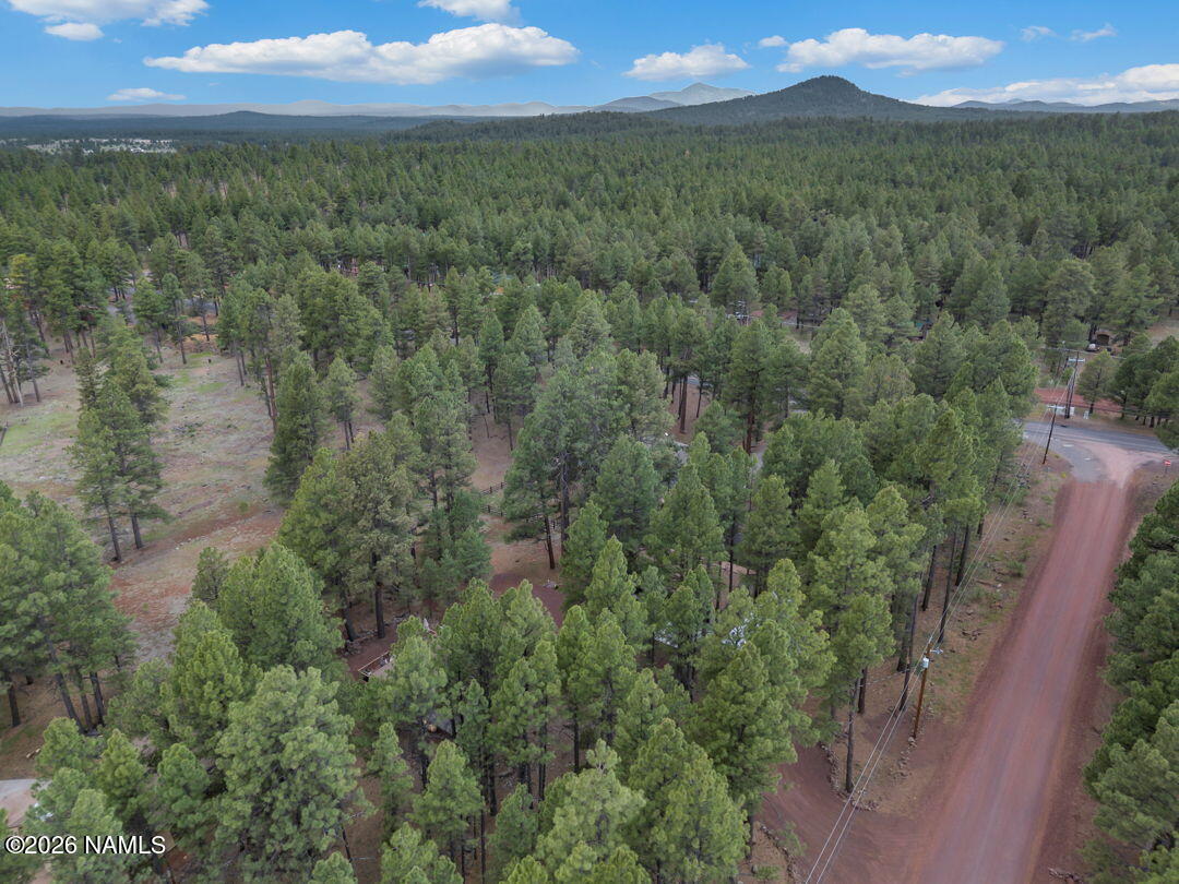 13050 Fallow Deer Road Parks, AZ 86018 - Photo 37 of 44 45-web-or-mls-Media.TimberCreekImagery-4