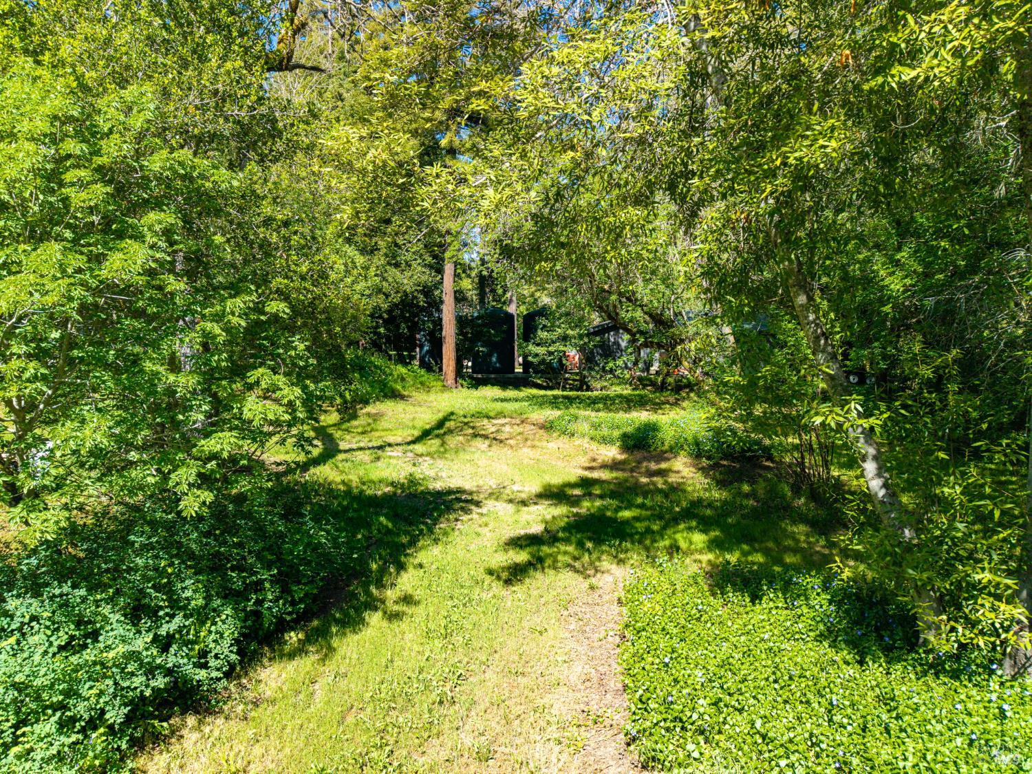 3320 Redwood Road Napa, CA 94558 - Photo 52 of 57 a view of yard with small fountain