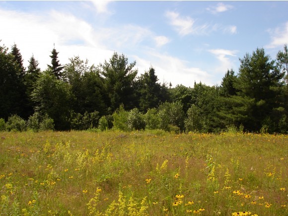 282 Row Off Pepin Road Barton, VT 05822 - Photo 1 of 1 Gallery Image 1