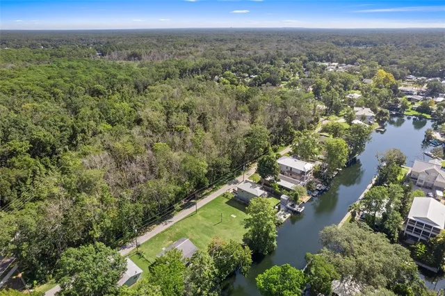 a view of a park with a large trees
