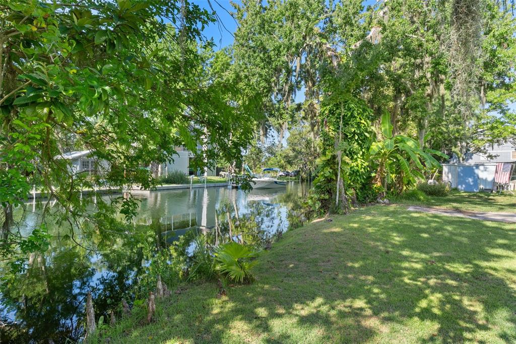 5492 Ramada Street Weeki Wachee, FL 34607 - Photo 18 of 25 a view of lake with a tree