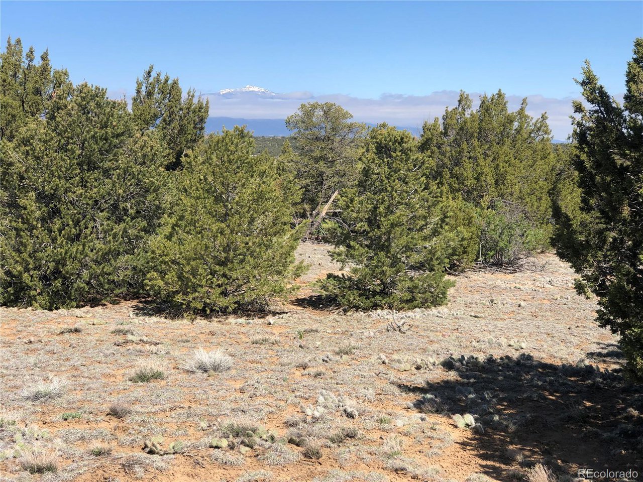 936 Rio Cucharas Phs, Unit 3 Walsenburg, CO 81089 - Photo 12 of 20 a view of a snow covered with snow in the background