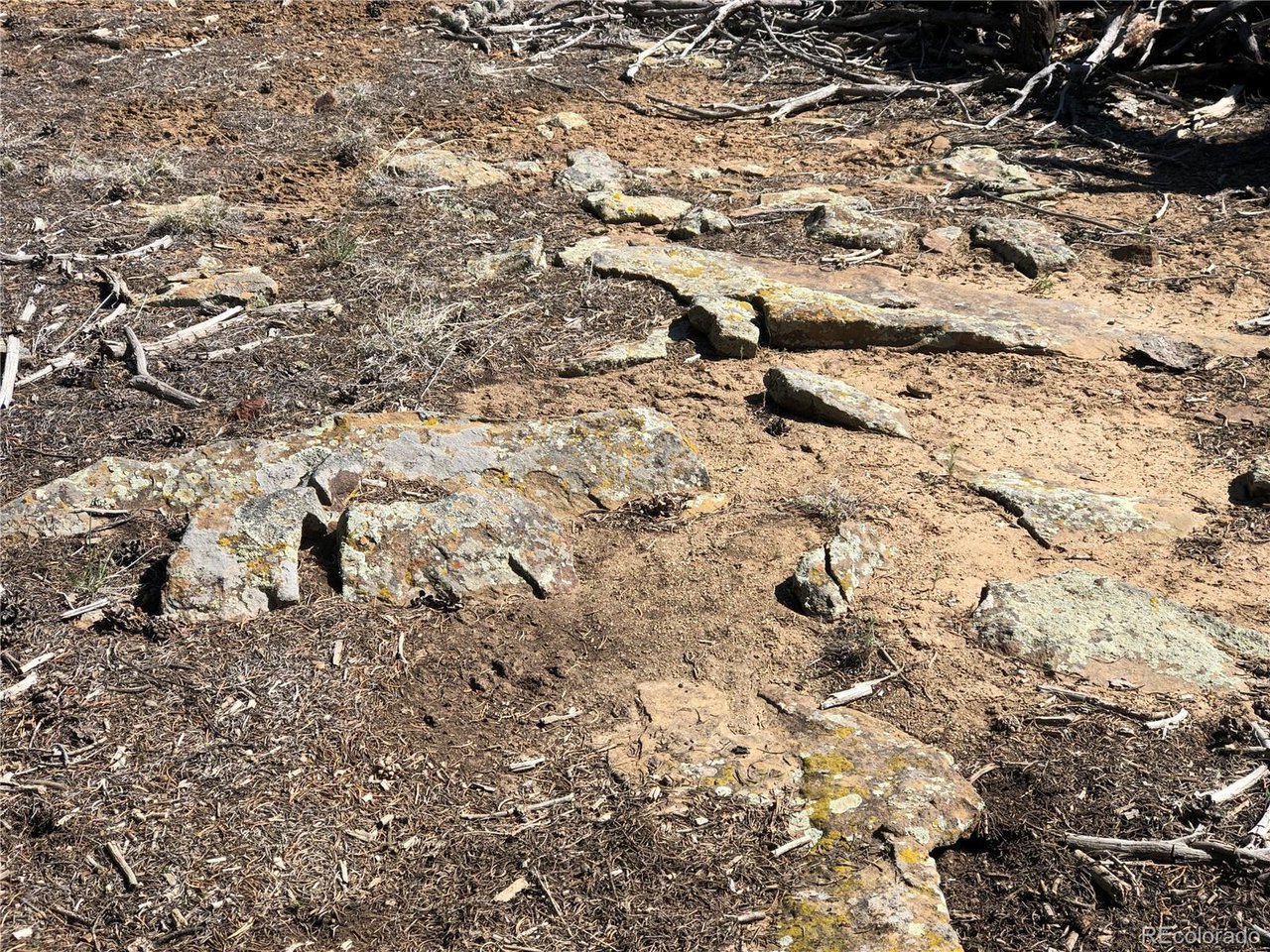 936 Rio Cucharas Phs, Unit 3 Walsenburg, CO 81089 - Photo 14 of 20 a view of a yard with a tree