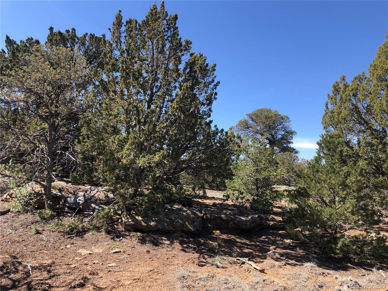 936 Rio Cucharas Phs, Unit 3 Walsenburg, CO 81089 - Photo 15 of 20 a view of outdoor space with trees all around