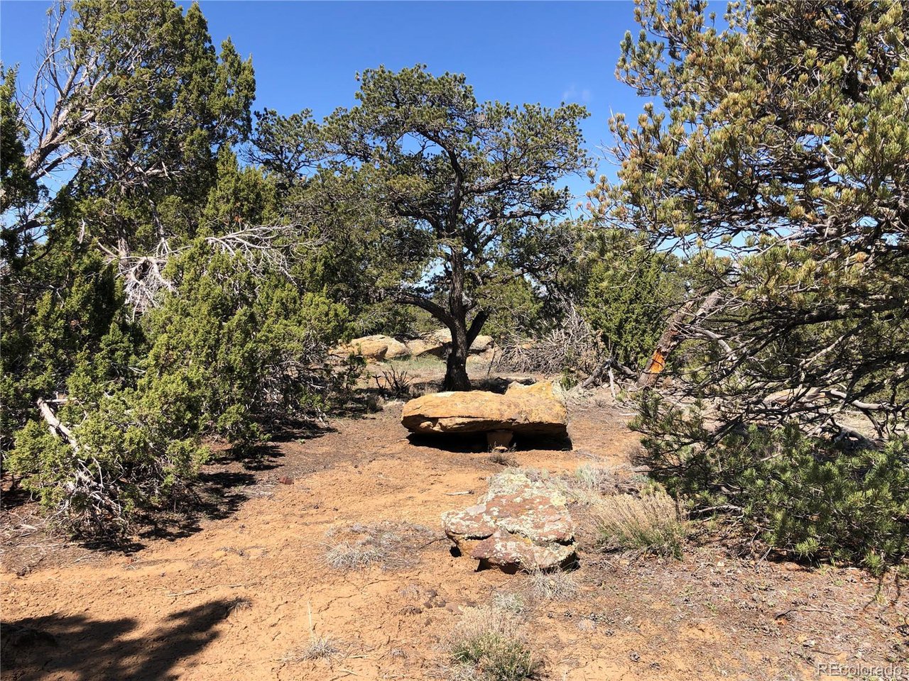 936 Rio Cucharas Phs, Unit 3 Walsenburg, CO 81089 - Photo 18 of 20 a view of a yard with a tree