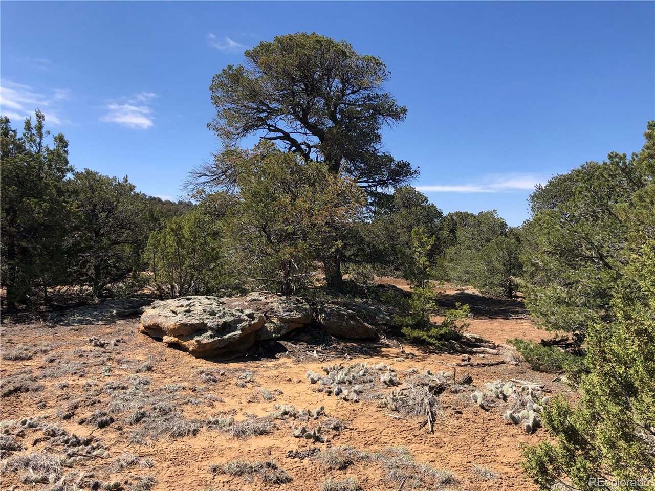 936 Rio Cucharas Phs, Unit 3 Walsenburg, CO 81089 - Photo 19 of 20 a view of a yard