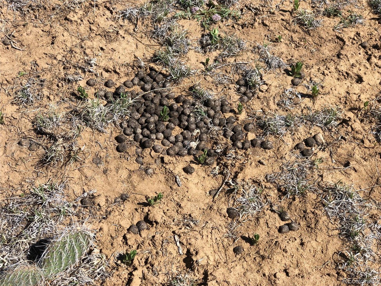 936 Rio Cucharas Phs, Unit 3 Walsenburg, CO 81089 - Photo 5 of 20