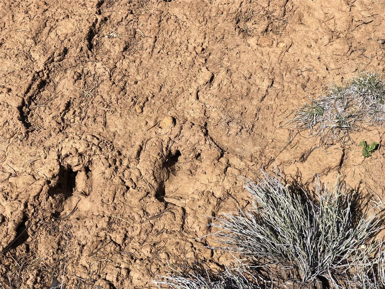 936 Rio Cucharas Phs, Unit 3 Walsenburg, CO 81089 - Photo 6 of 20