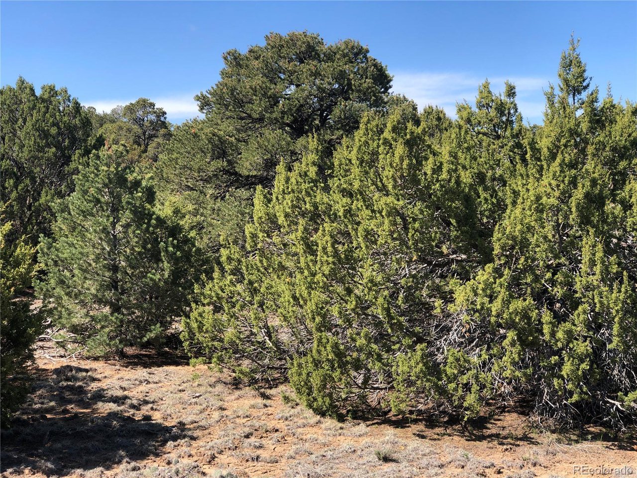 936 Rio Cucharas Phs, Unit 3 Walsenburg, CO 81089 - Photo 7 of 20 a view of a dry yard