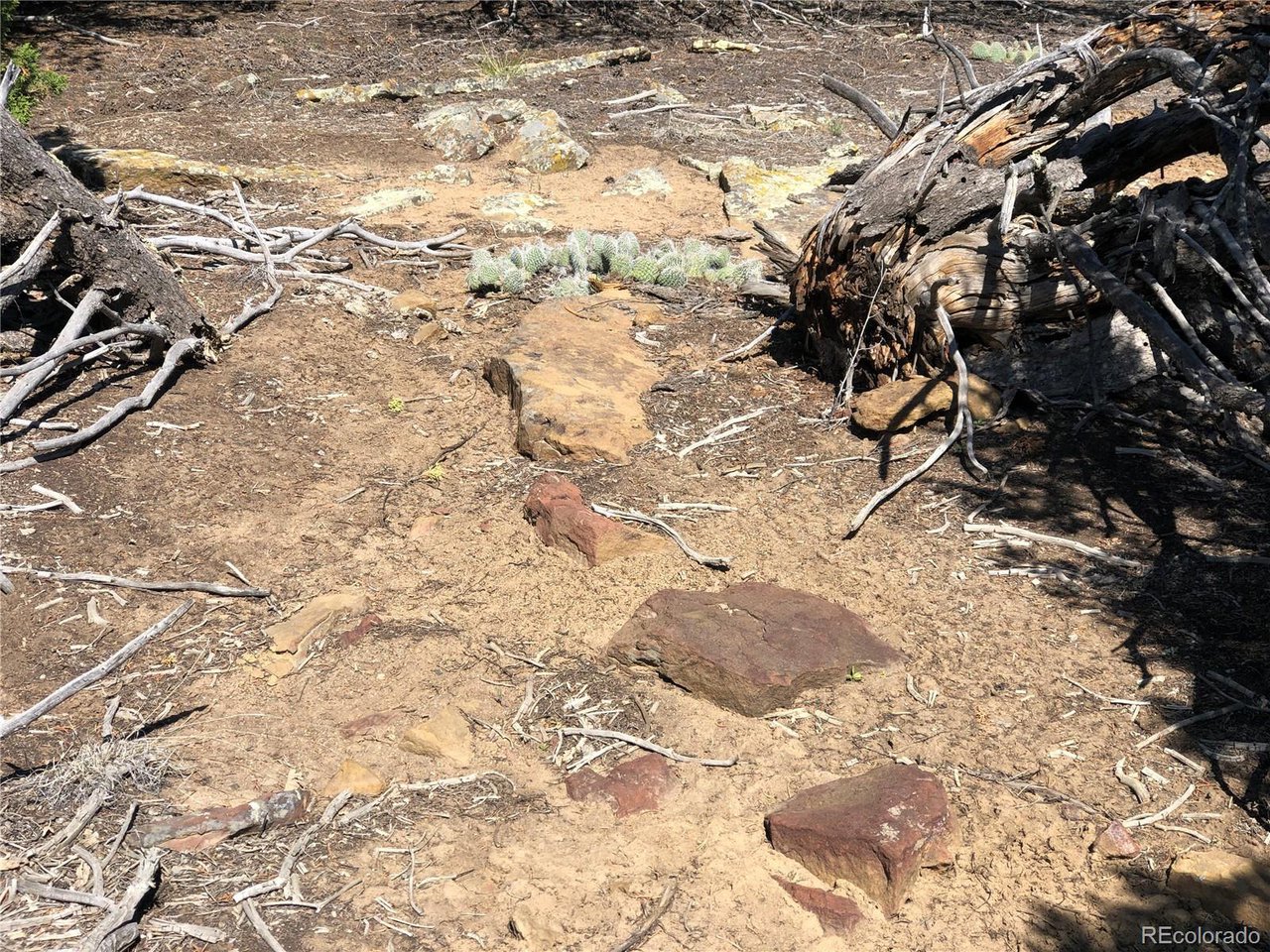 936 Rio Cucharas Phs, Unit 3 Walsenburg, CO 81089 - Photo 8 of 20 a view of a yard with snow on the ground