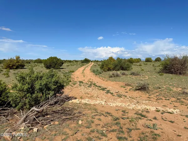 $29,900 | 8809 Northstar Road, Williams, AZ 86046