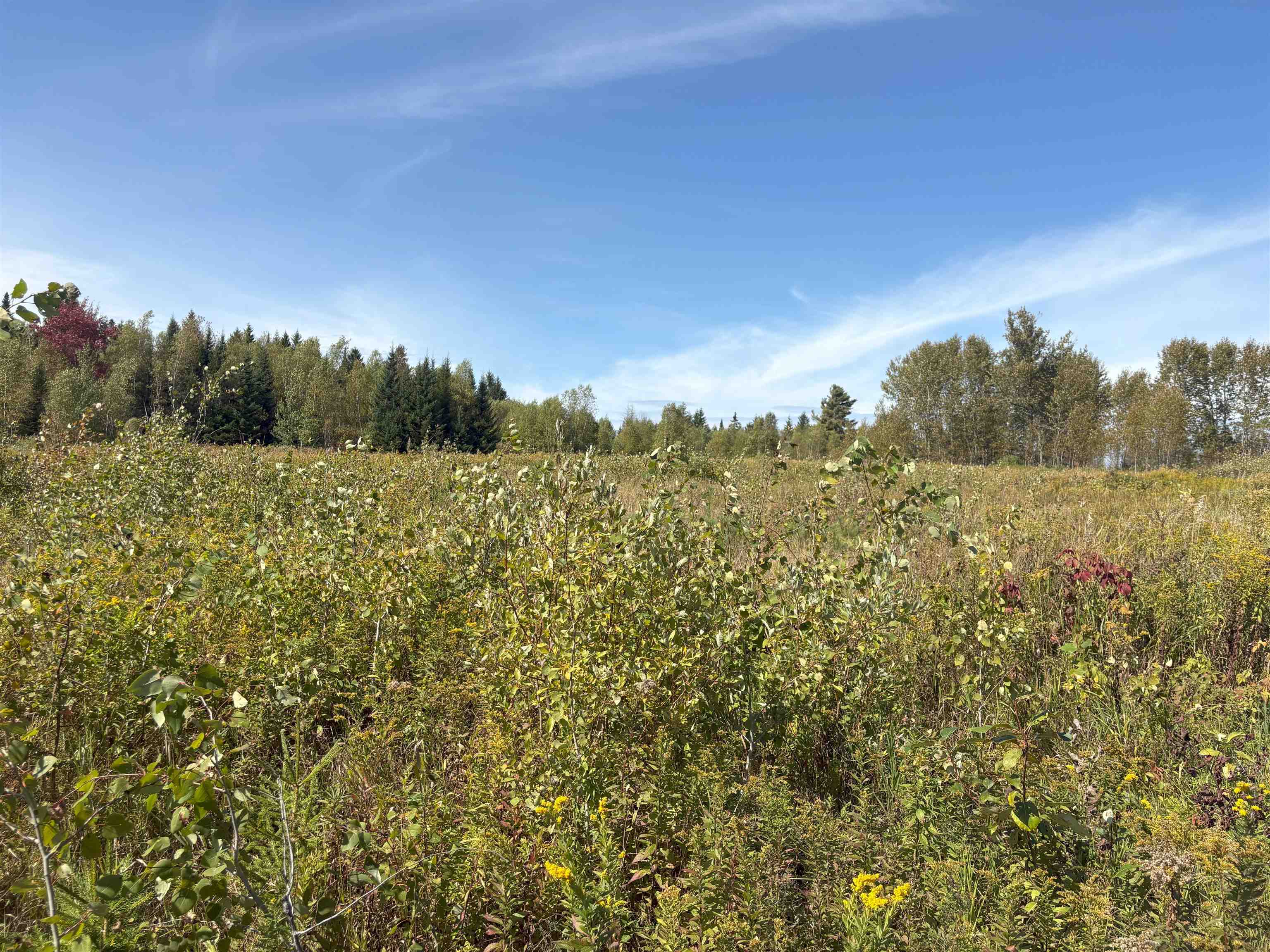 790 Newark Road Brighton, VT 05846 - Photo 51 of 54