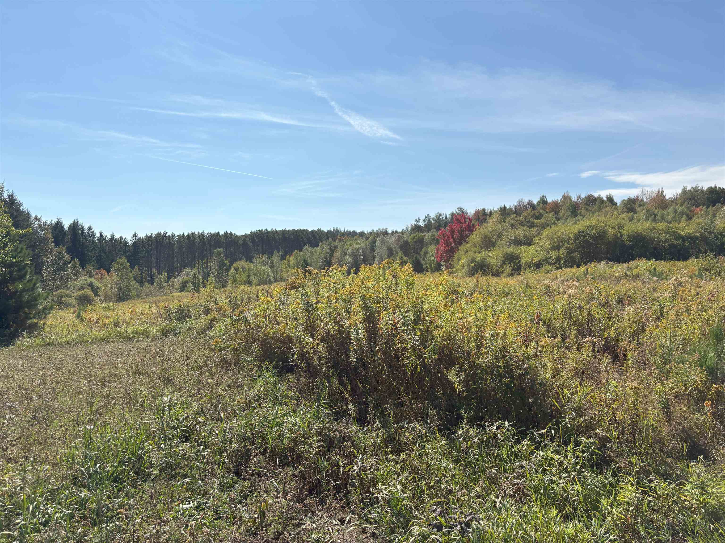 790 Newark Road Brighton, VT 05846 - Photo 52 of 54