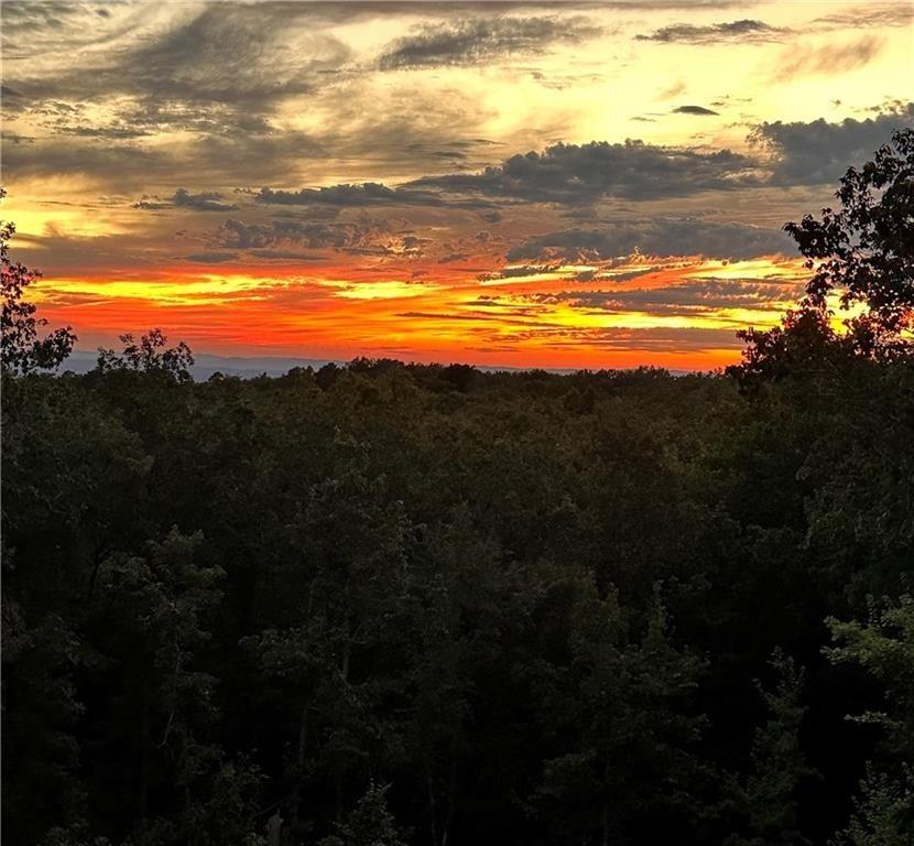 1172 Hunter Drive Ranger, GA 30734 - Photo 6 of 71 a view of an ocean and beach