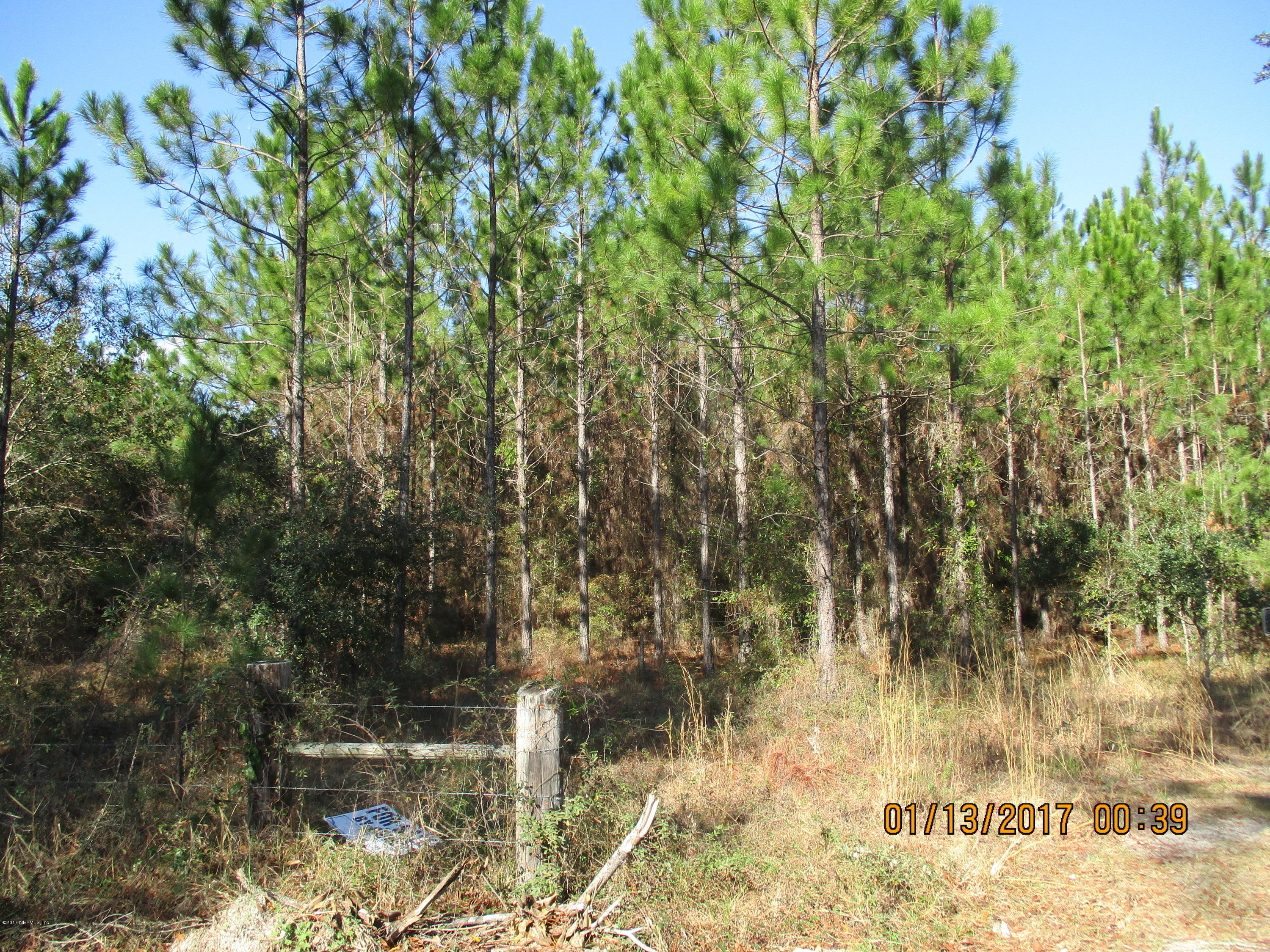 0 Hallman Road Hilliard, FL 32046 - Photo 4 of 10 IMG_1086