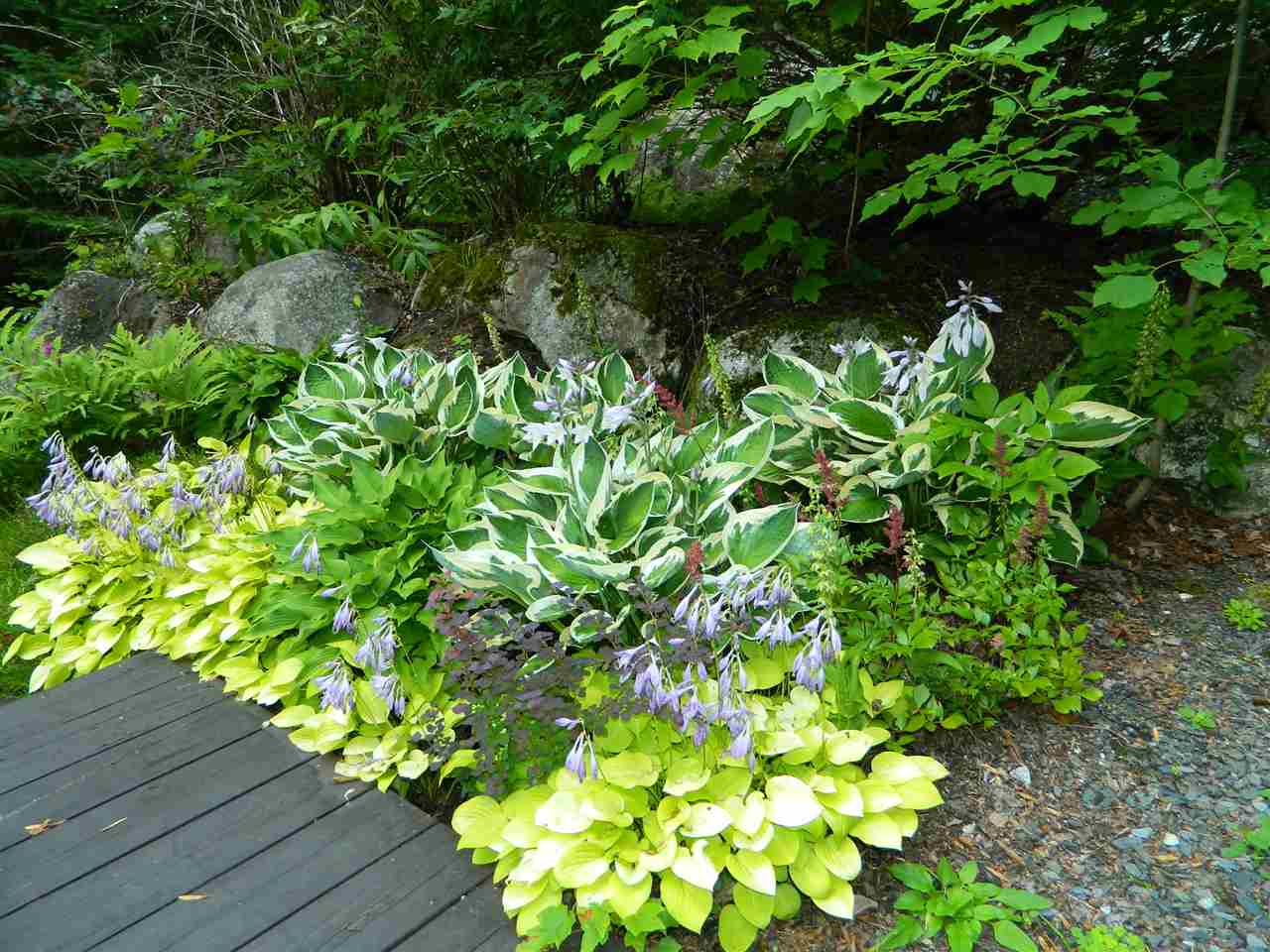 1434 Peacham Pond Road Peacham, VT 05658 - Photo 28 of 36 Gallery Image 28