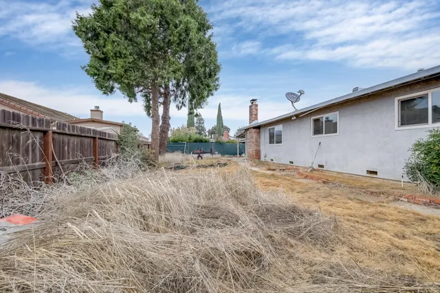a backyard of a house with plants and tree