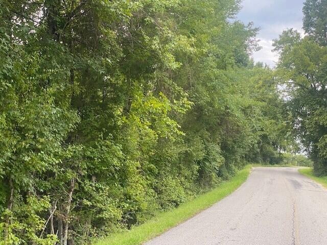 705 Francis Springs Road Jasper, TN 37347 - Photo 5 of 5 Gallery Image 5