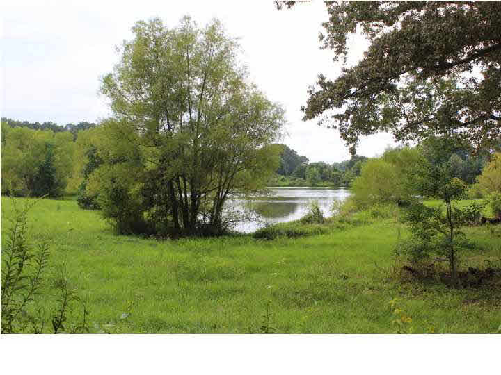 160 Leggett Road Clinton, MS 39056 - Photo 36 of 43 Lake View