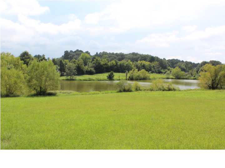 160 Leggett Road Clinton, MS 39056 - Photo 37 of 43 Lake View