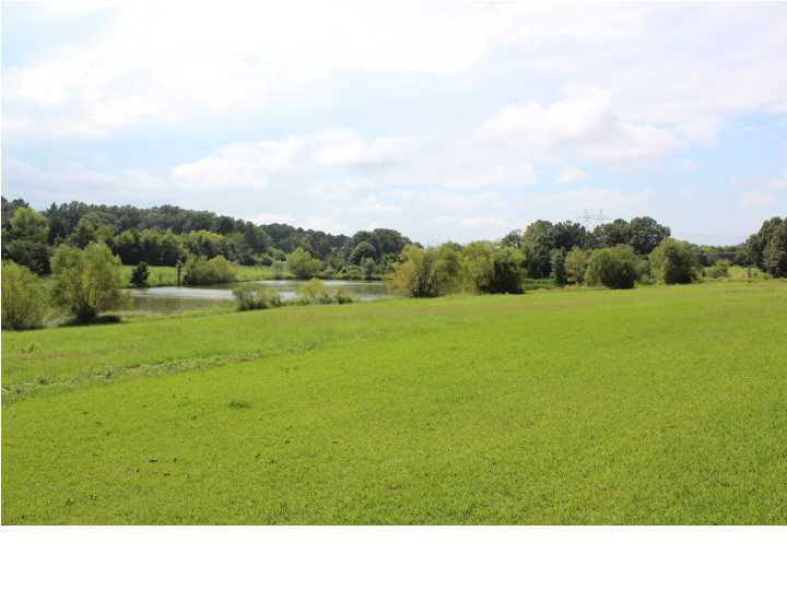 160 Leggett Road Clinton, MS 39056 - Photo 39 of 43 Lake and Acreage View