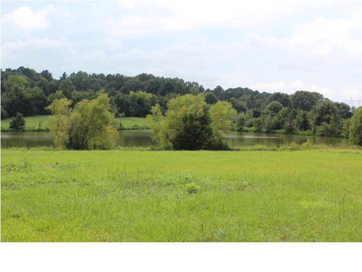 160 Leggett Road Clinton, MS 39056 - Photo 40 of 43 Lake and Acreage View