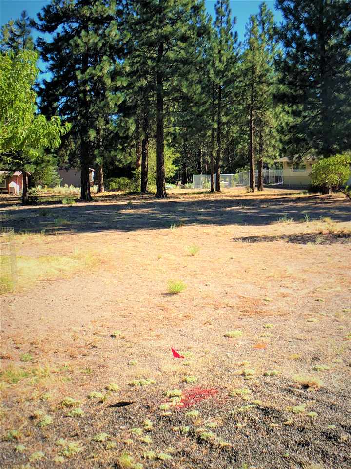 7-3 Fisher Rd Lake Weed, CA 96094 - Photo 2 of 6 Gallery Image 2