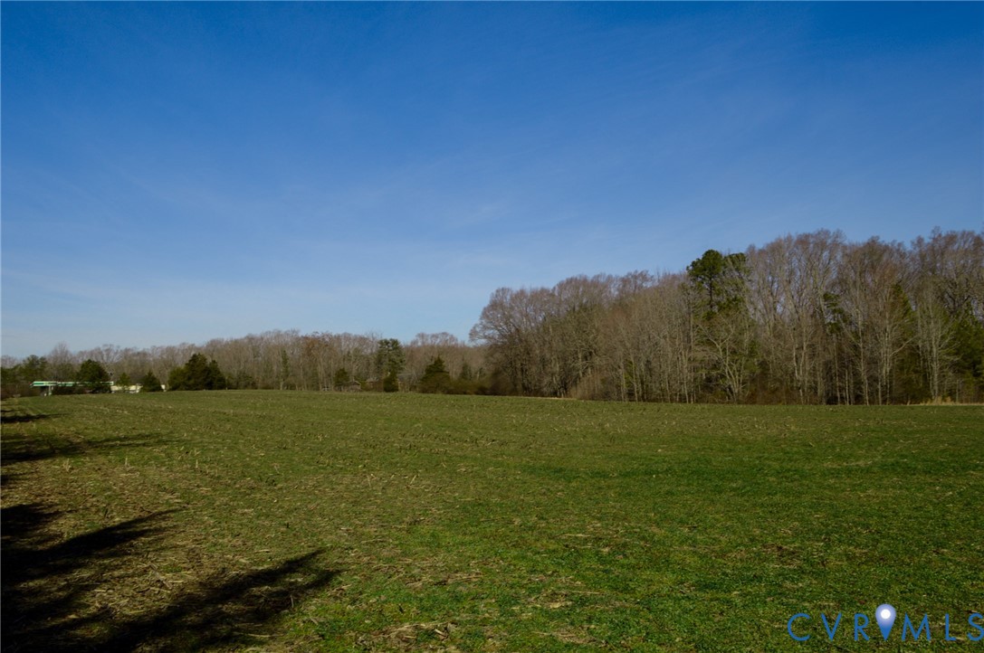 2500 Maidens Road Powhatan, VA 23139 - Photo 22 of 24 a view of grassy field with trees