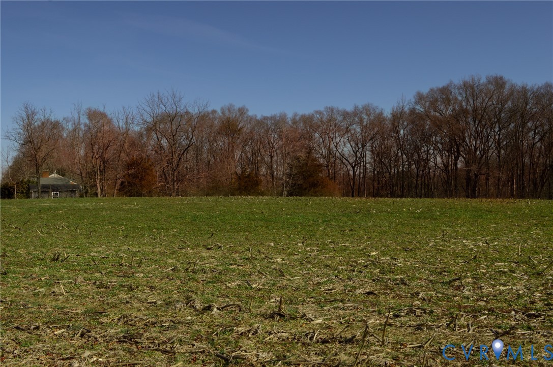 2500 Maidens Road Powhatan, VA 23139 - Photo 23 of 24 a view of a field