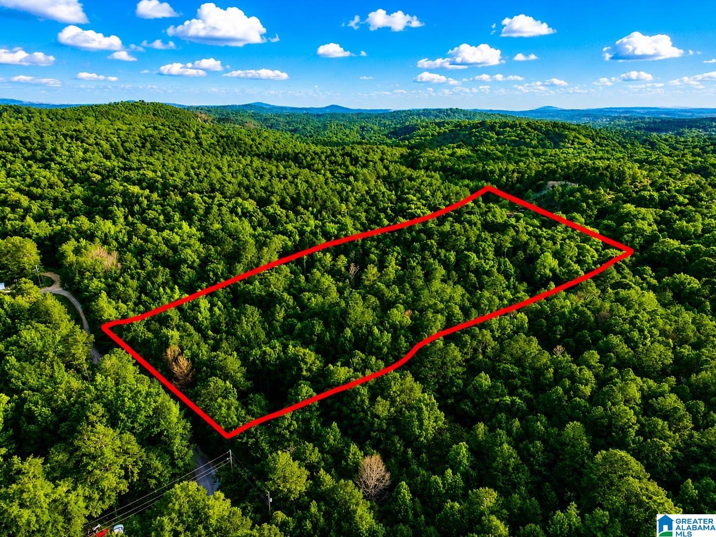 Off Of Penny Lane, Unit 54 Odenville, AL 35120 - Photo 3 of 25
