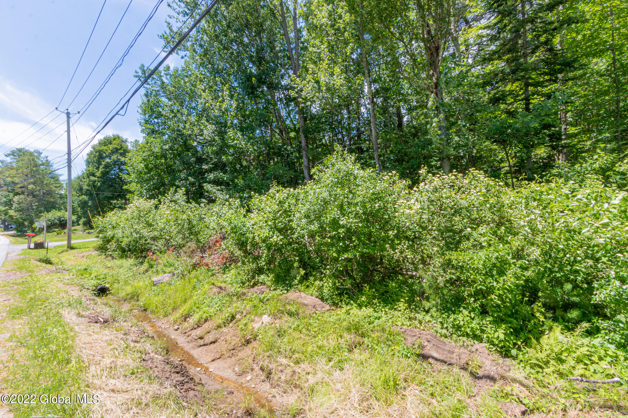 2693 North Shore Road Day, NY 12835 - Photo 48 of 48 Vacant Lot