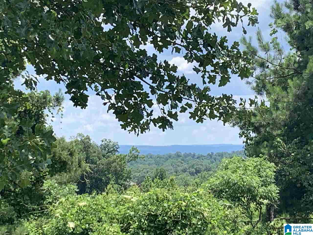 480 Cox Cove Road Hayden, AL 35079 - Photo 6 of 40