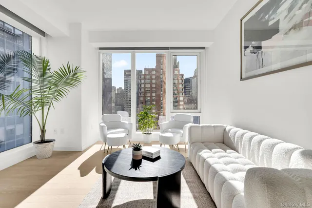 a living room with furniture and a potted plant