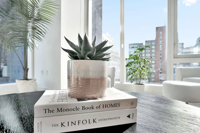 a living room with furniture and a potted plant