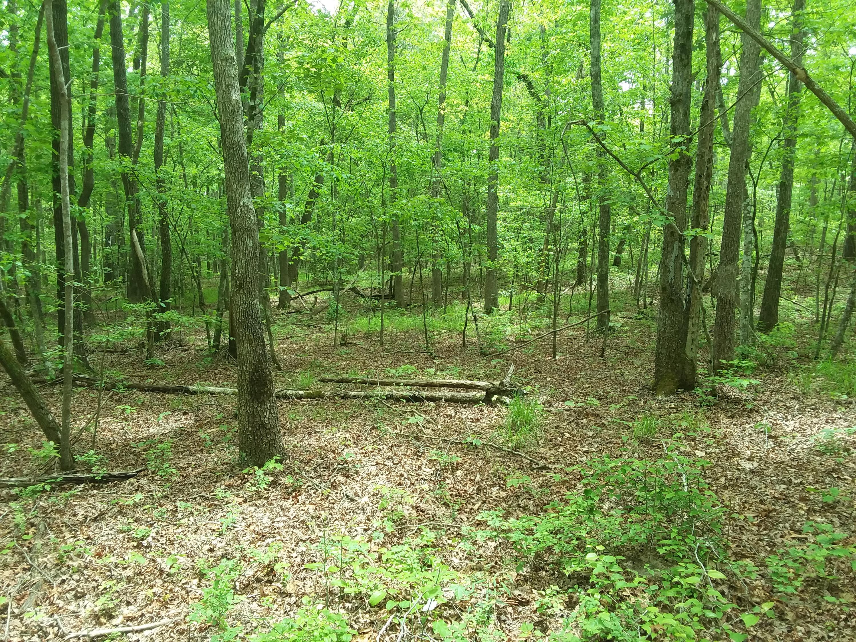 24 White Oak Swamp Road, Unit 24 Dunlap, TN 37327 - Photo 1 of 7 20200519_125445