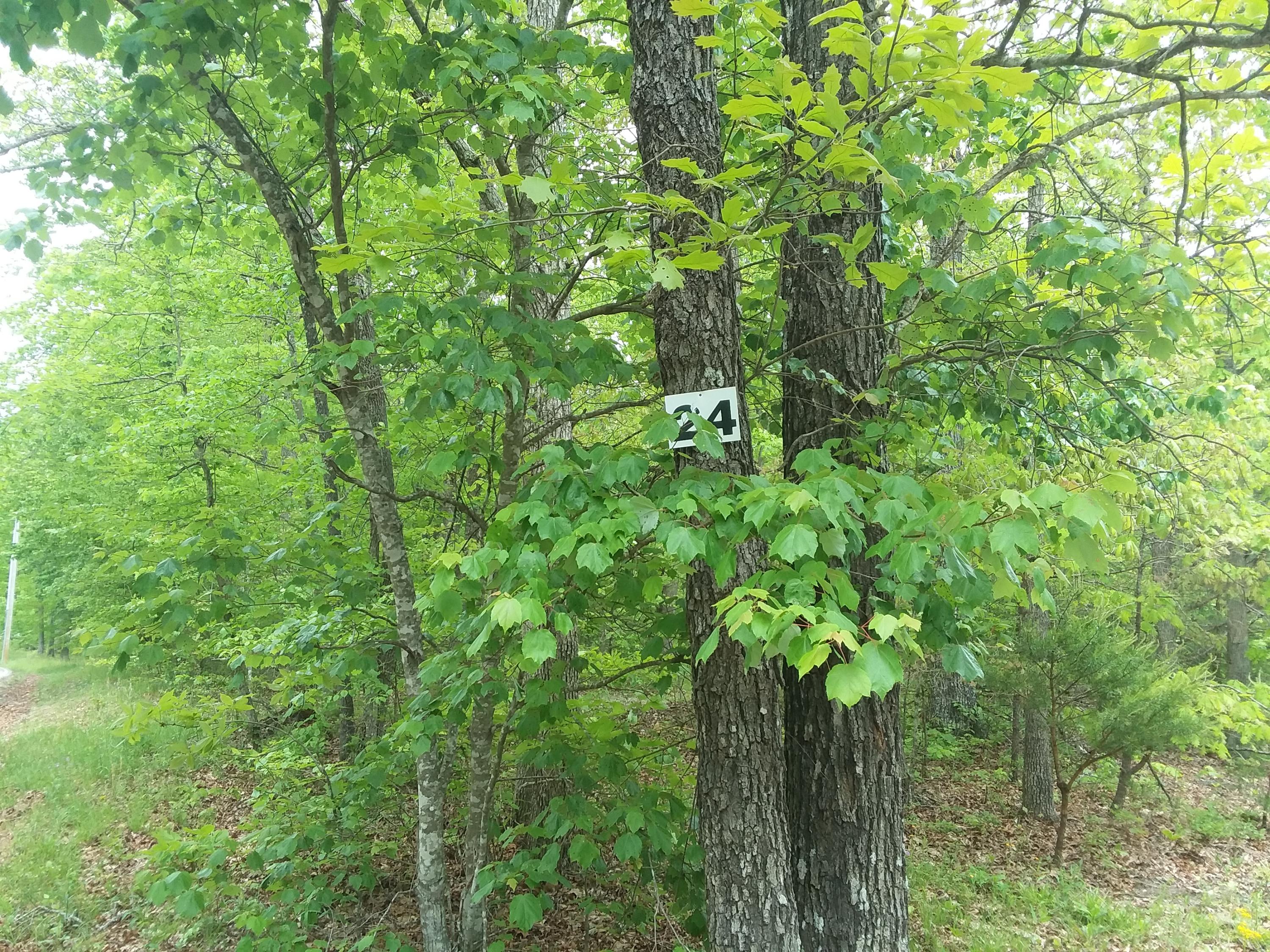 24 White Oak Swamp Road, Unit 24 Dunlap, TN 37327 - Photo 2 of 7 20200519_125116