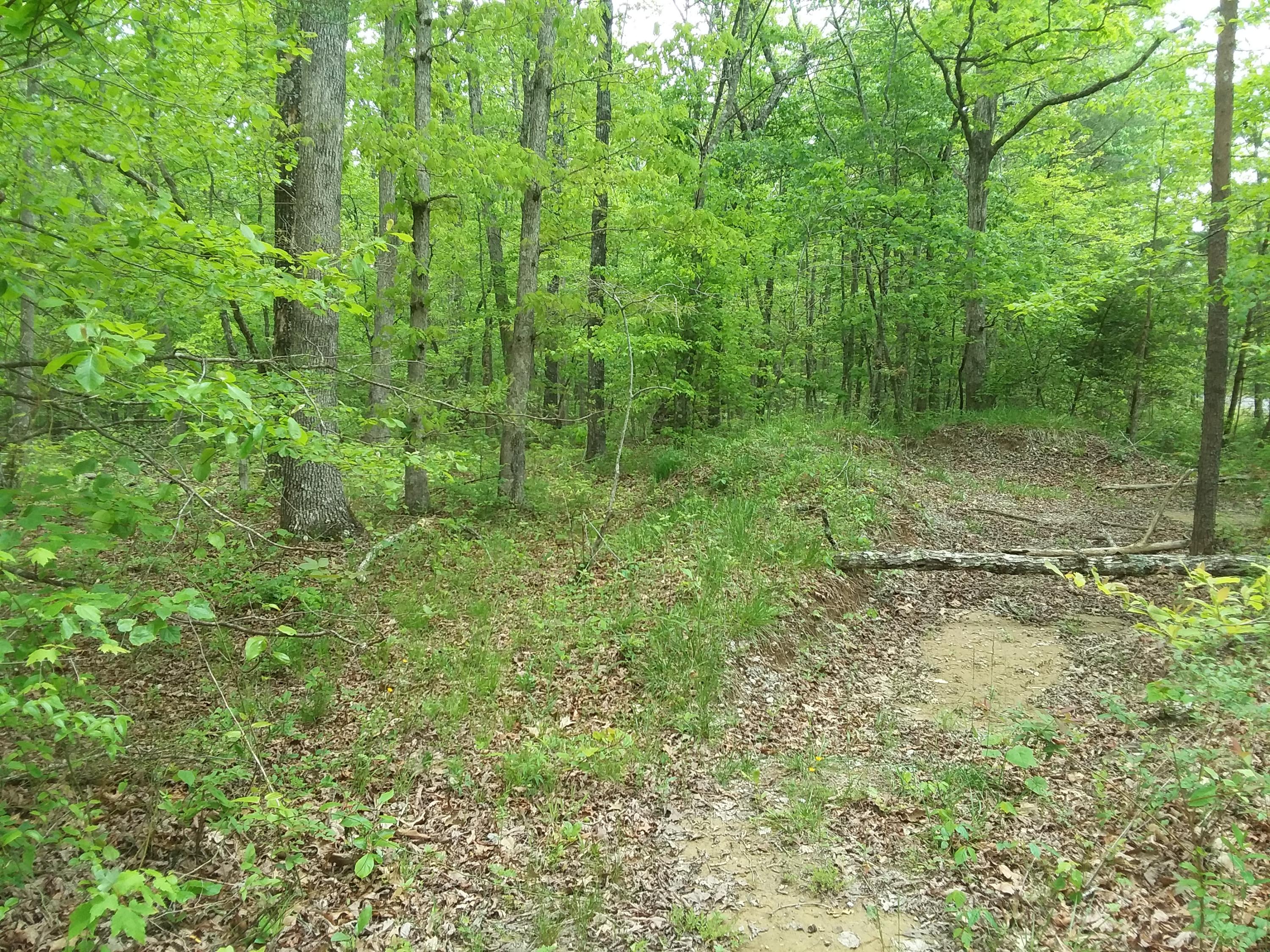 24 White Oak Swamp Road, Unit 24 Dunlap, TN 37327 - Photo 3 of 7 20200519_125146