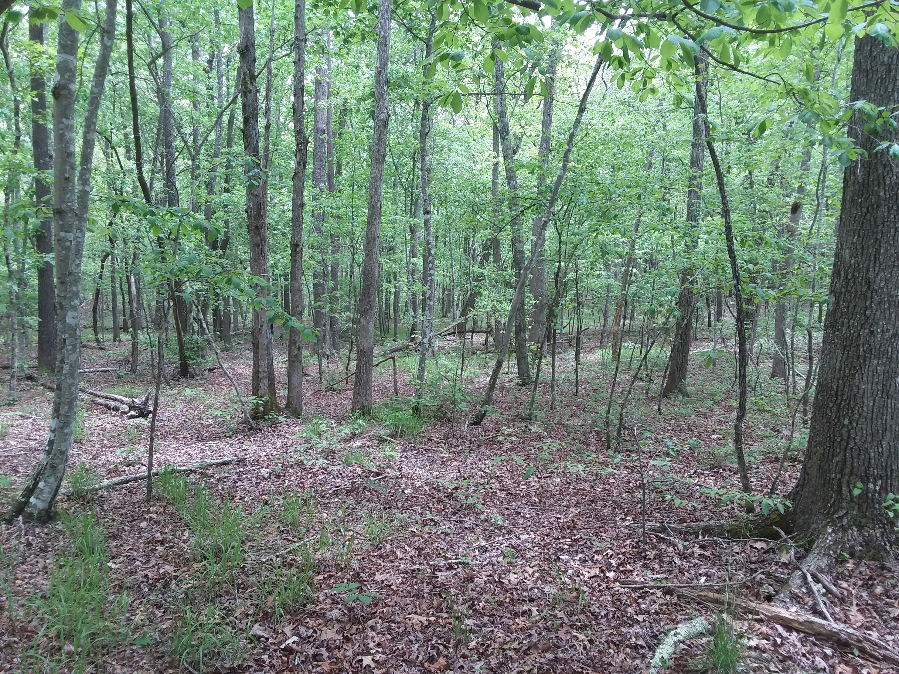 24 White Oak Swamp Road, Unit 24 Dunlap, TN 37327 - Photo 6 of 7 20200519_125412