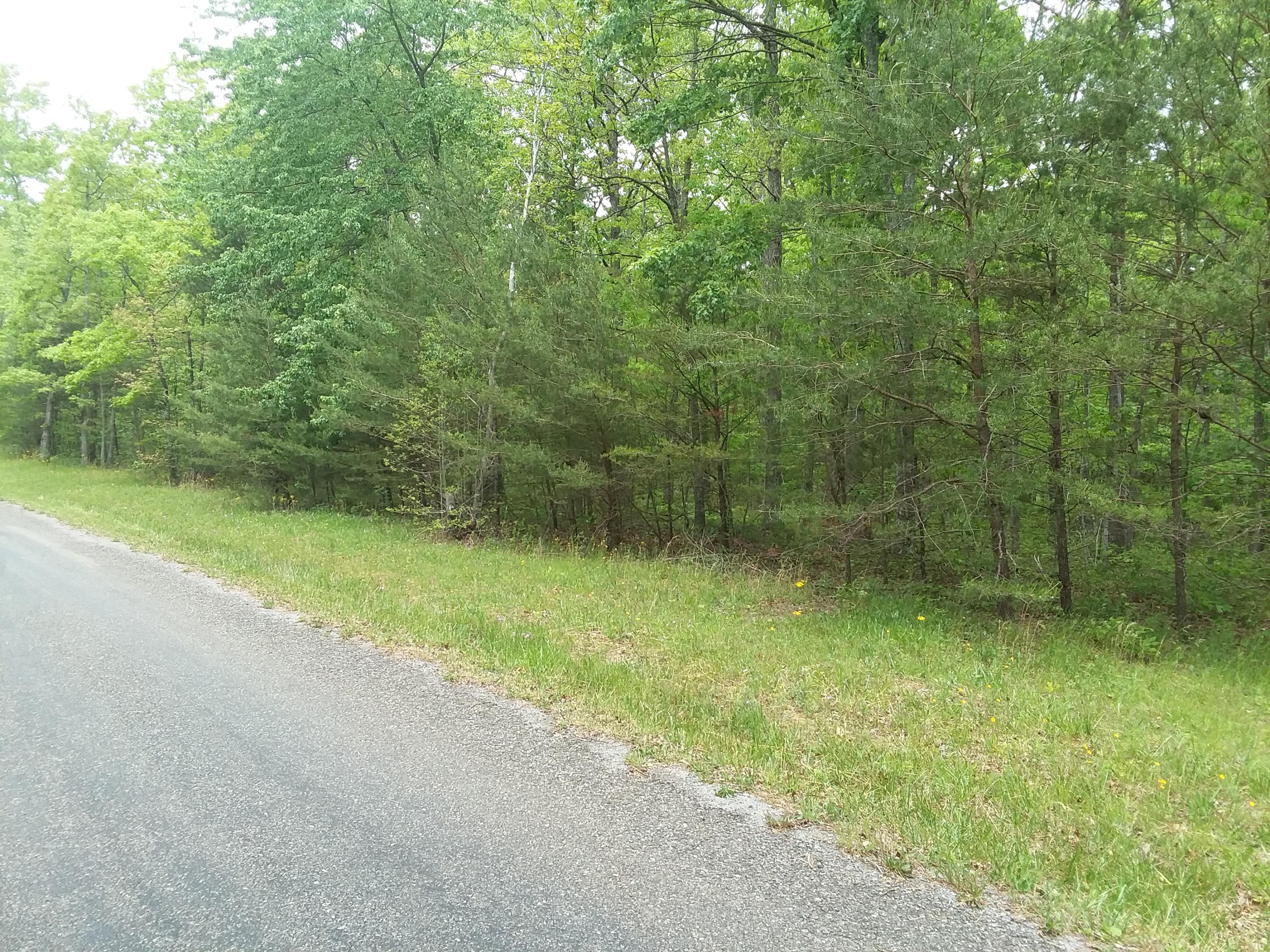 24 White Oak Swamp Road, Unit 24 Dunlap, TN 37327 - Photo 7 of 7 20200519_125613