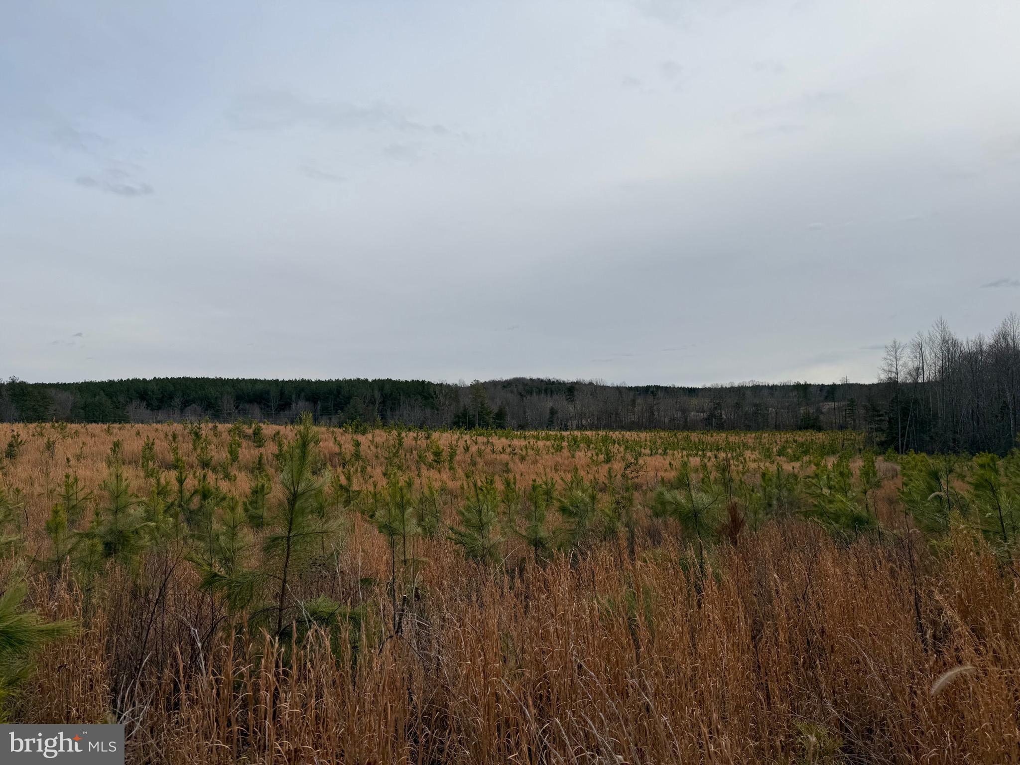 Tbd Community House Road Kents Store, VA 23084 - Photo 20 of 34