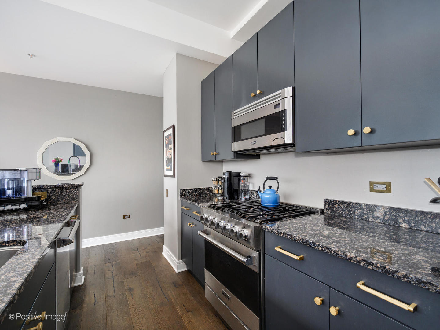 500 West Superior Street, Unit 1202 Chicago, IL 60654 - Photo 14 of 29 a kitchen with stainless steel appliances granite countertop a stove and a microwave