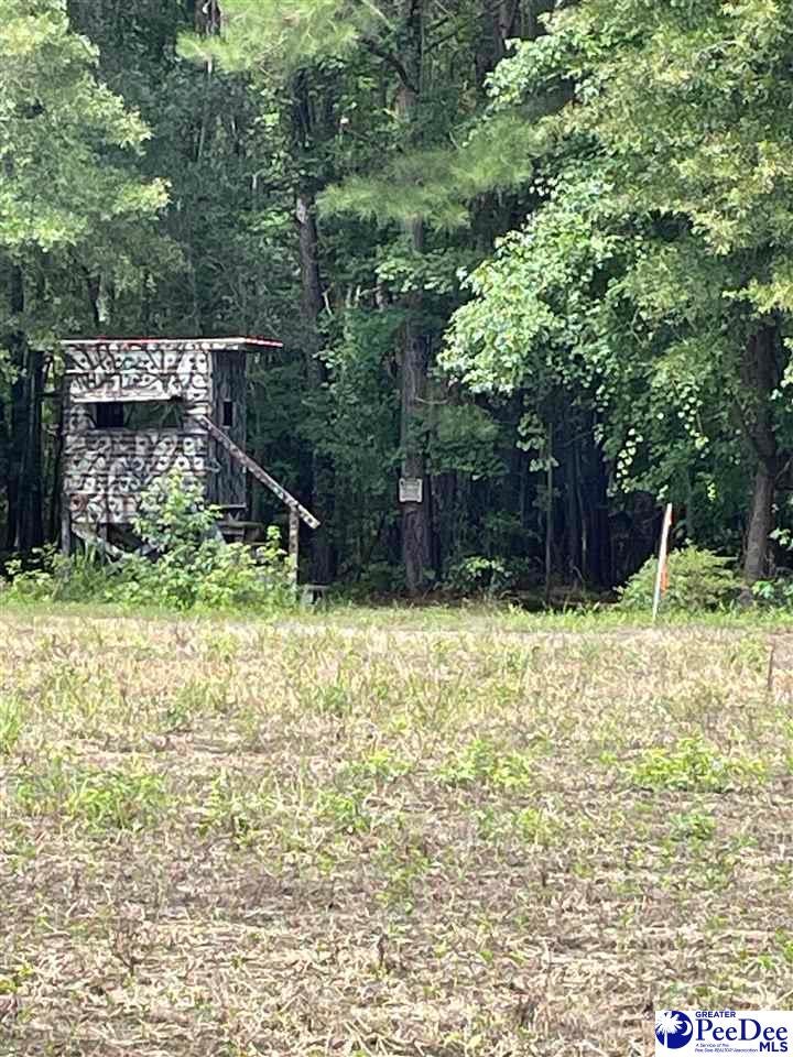 0 Twin Church Road Timmonsville, SC 29161 - Photo 17 of 20 Gallery Image 17