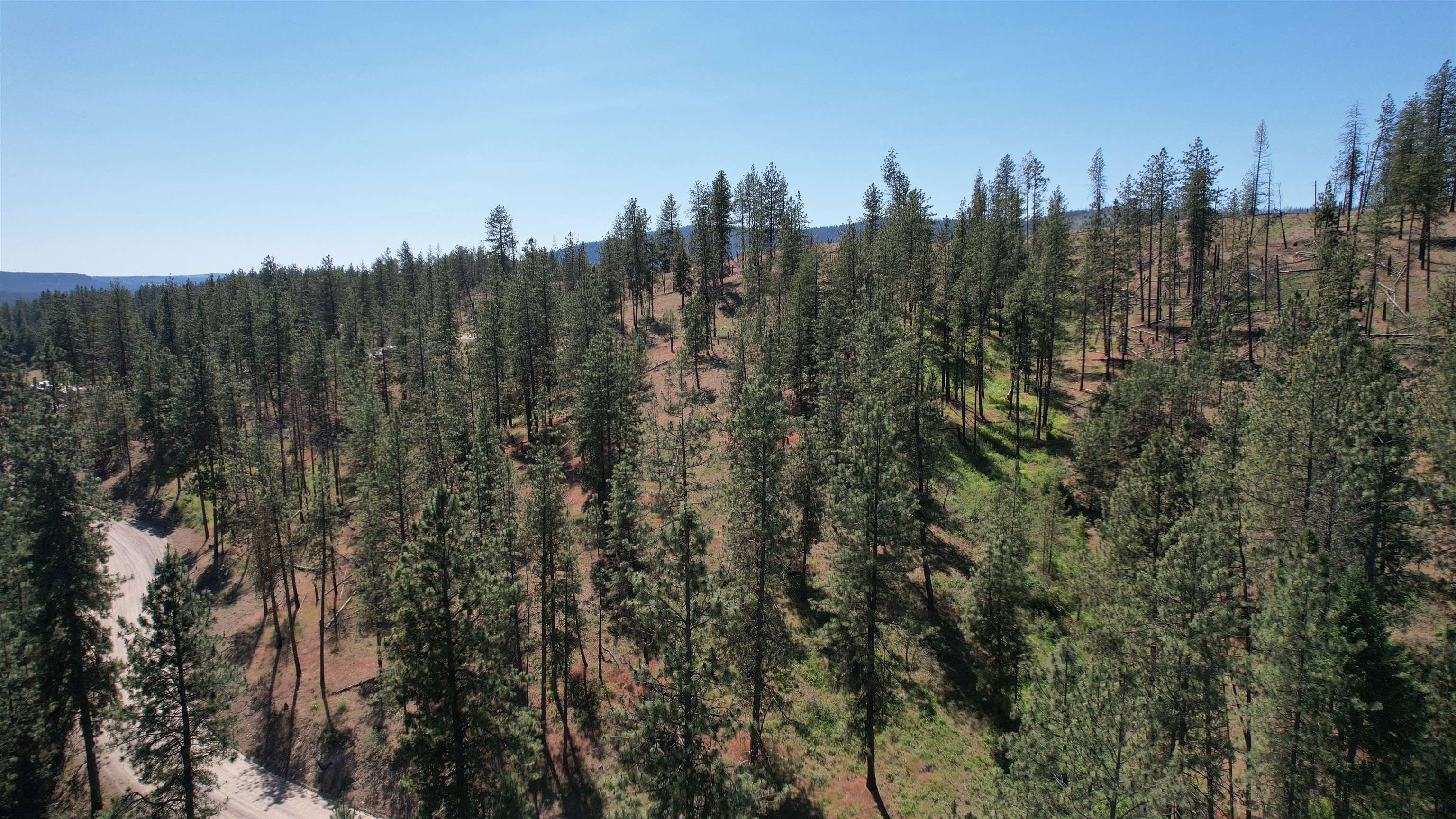 5550 Scotts Valley Road Deer Park, WA 99006 - Photo 12 of 34