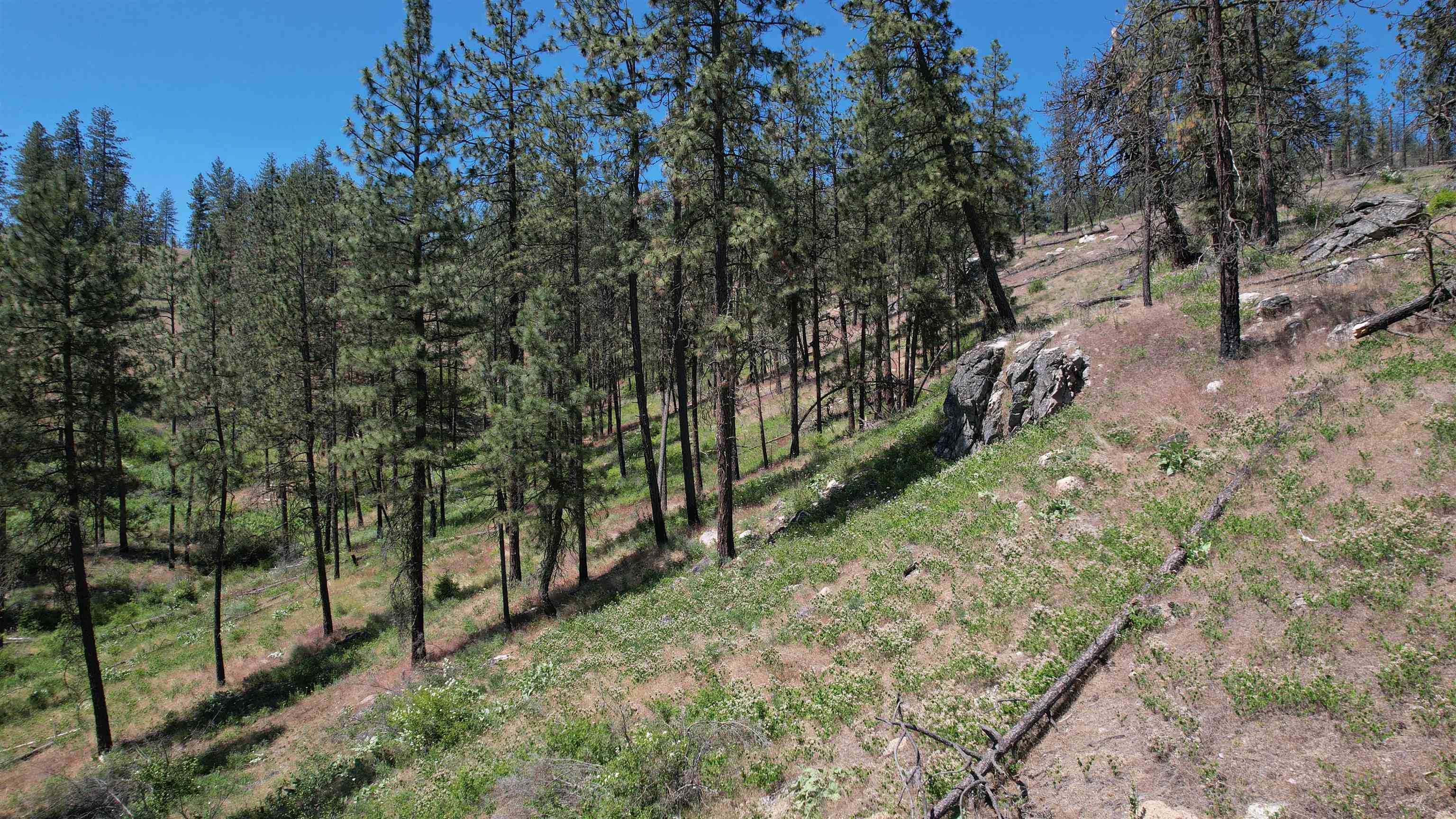 5550 Scotts Valley Road Deer Park, WA 99006 - Photo 13 of 34