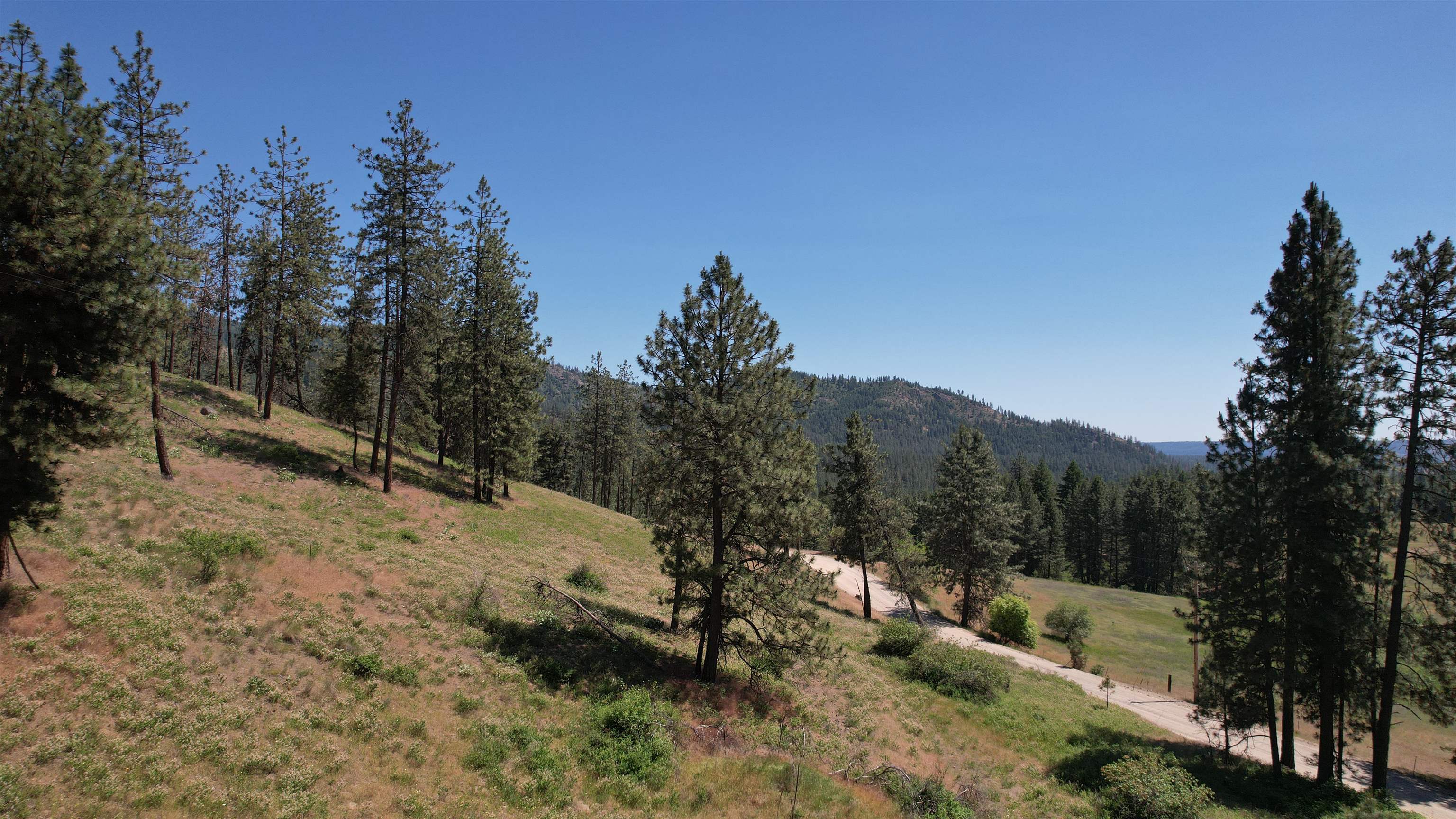 5550 Scotts Valley Road Deer Park, WA 99006 - Photo 14 of 34