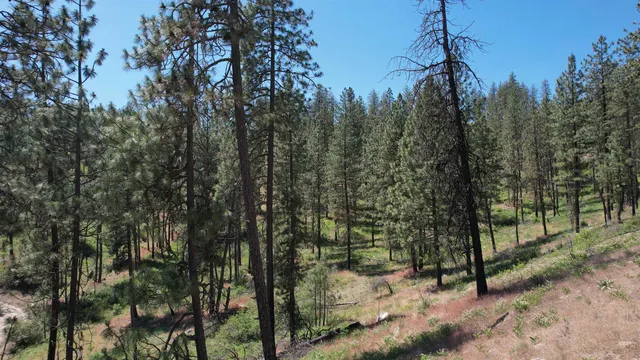 $152,000 | 5550 Scotts Valley Road, Deer Park, WA 99006