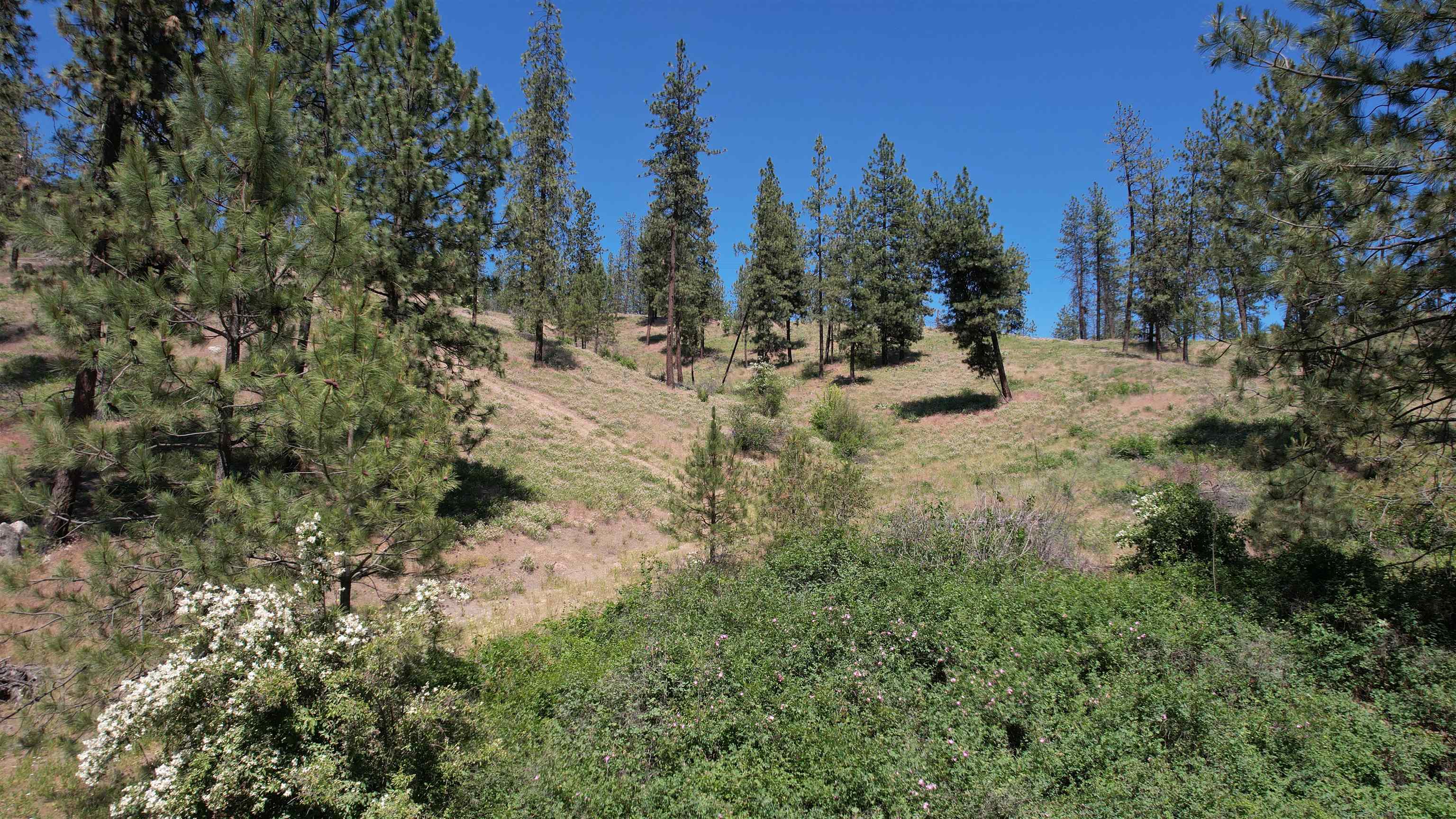 5550 Scotts Valley Road Deer Park, WA 99006 - Photo 16 of 34