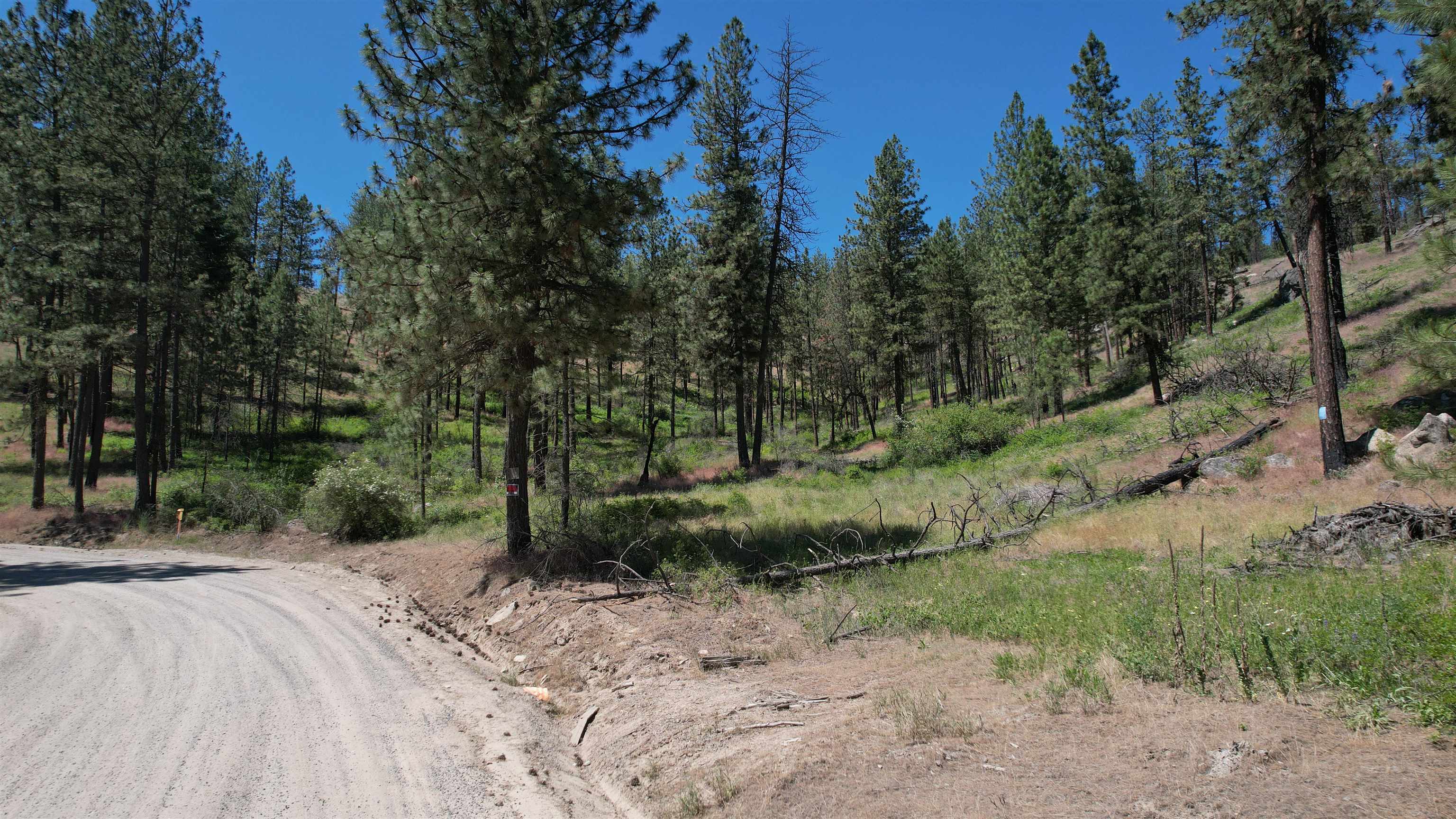 5550 Scotts Valley Road Deer Park, WA 99006 - Photo 17 of 34